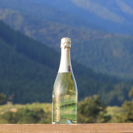 尼加拉葡萄氣泡酒